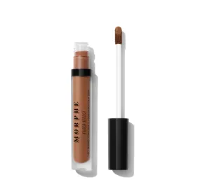 Filter Effect Soft Radiance Concealer - Deep 36